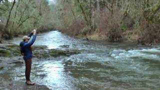 Steelhead fishing at North Fork Alsea Oregon [upl. by Adnamra]