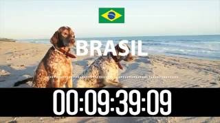 Contagem regressiva  10 Minutos  BRASIL [upl. by Rosinski]