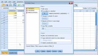 SPSS  Remove Missing Values [upl. by Leciram]