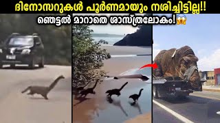 ജീവിച്ചിരിക്കുന്ന ദിനോസറുകൾ Dinosaurs Explained In Malayalam  Storify [upl. by Patrice263]