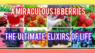 MICRONUTRIENTS JUICE  MIRACULOUS 18 BERRIES  PULP CONCENTRATE  HEALTHY LIFE [upl. by Keemahs]