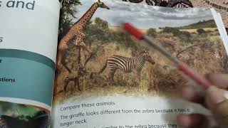 Grade2Unit4 Humans and Animals GrowComparing Animals Learners book part 2 [upl. by Haleemak]