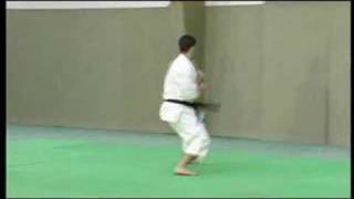 KARATE SHOTOKAN [upl. by Anson]