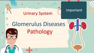 Glomerulus Disease  Pathology [upl. by Genvieve]