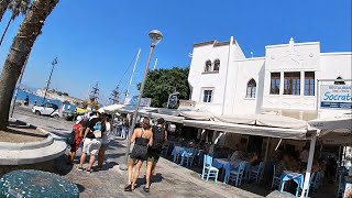 Kos town I GREECE I Dodecanese Island💙🤍💙 [upl. by Dde]