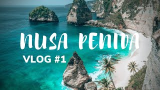 NUSA PENIDA⎜Ile paradisiaque à côté de Bali en Indonésie [upl. by Zuliram]