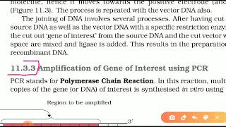 Amplification of Gene of Interest using PCR [upl. by Berta]