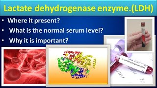 Lactate Dehydrogenase biochemistry LDHmedilabacademyCBC [upl. by Antsirhc]