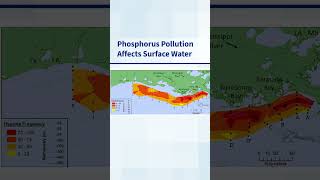 The Importance of Phosphorus Regulation [upl. by Aseela]