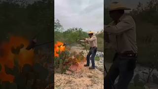 How Cactus Becomes Food for Cattle in the Desert cactus desert telugufacts shorts telugunews [upl. by Tloh]