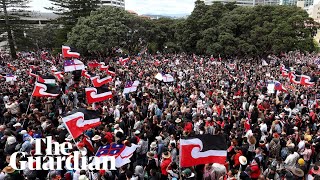 Thousands march on NZ parliament in protest against change to Māori treaty bill [upl. by Nirrok188]