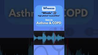 Different types of respiratory sound auscultation shortsfeed [upl. by Ahsimal]