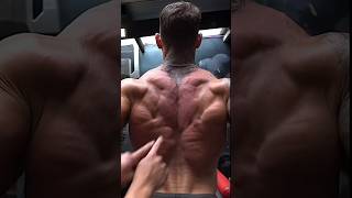 Body Back Workout [upl. by Dexter]