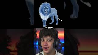 Leeuw op je dak 🦁 [upl. by Reames]