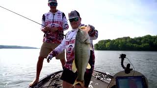 College Fishings Top Anglers Catch Pickwick Lake Bass During the Early Summer Months [upl. by Reinnej]