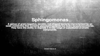 Medical vocabulary What does Sphingomonas mean [upl. by Cathlene989]