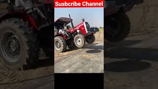 Massey Tractor King shortvideo masseytalk farming virlshort subscribe [upl. by Kacie]