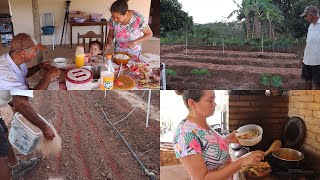 PLANTAMOS BASTANTE COENTRO  PIRÃO DE TILÁPIA PARA O ALMOÇO [upl. by Atiana93]