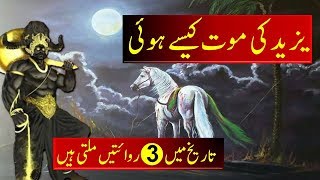 Yazid ki Mout ka Waqia  Yazid ibn Muawiyah Death Story  Death History of Yazeed [upl. by Enileuqaj]