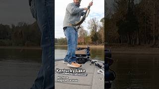 Explosive TOPWATER bite on KY LAKE bassfishing smallmouthbass 6thsensefishing fishingvideo [upl. by Francklyn]