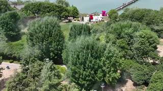 2549 Dense flying insects clustering over trees look like smoke from distance in China [upl. by Heddy]