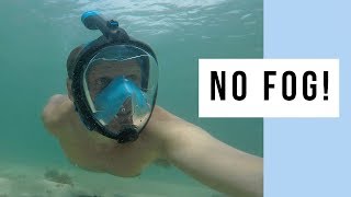 The Only 100 Fog Free Full Face Snorkel Mask  Seabeast AF90 [upl. by Aknahs]