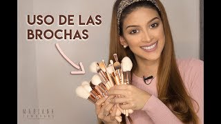 Como Usar las Brochas de Maquillaje  Makeup Brushes Zoeva [upl. by Latrina]