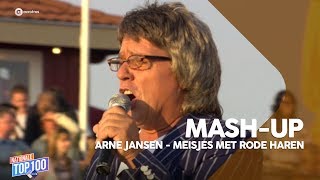 MASHUP Arne Jansen  Meisjes met rode haren  Nationale Top 100 [upl. by Akeihsal228]