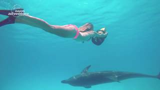 Dolphin Adventure  Vallarta Adventures [upl. by Terena]