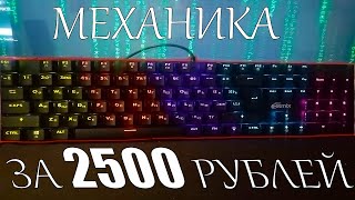 Обзор механической клавиатуры за 2500 рублей [upl. by Dominick]