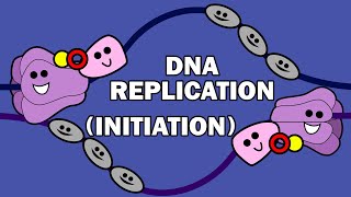 DNA REPLICATION 13  INITIATION [upl. by Zavras]