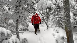 Hiking Adirondacks In Snowstorm [upl. by Bonney857]