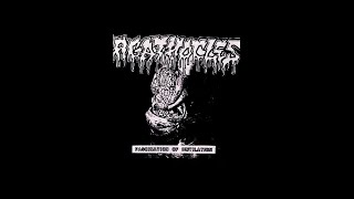 AGATHOCLES  quotFascination of Mutilationquot flexi 7quot 1990 [upl. by Eiliab]