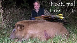 NOCTURNAL HOG HUNTS Traditional Bowhunting [upl. by Westfall]