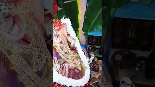 Today Varalakahmi Pooja in my home bhagyam tharum lakshmi song varalakshmipoojadecoration god [upl. by Romonda]