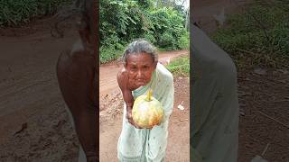 Grandmaa Pumkin Malabar Spinach and Potato curry cooking recipeshortsfeed [upl. by Ihdin]