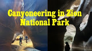 Canyoneering Adventure in Zion National Park  Pine Creek Canyon [upl. by Dinesh520]