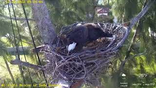 Wildlife Rescue of Dade County The young lady really likes Ron😉20122022 [upl. by Brockie]