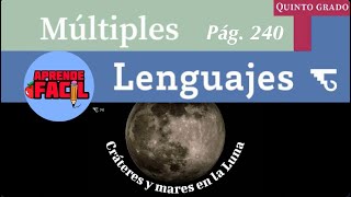 quotCráteres y mares en la lunaquot Múltiples lenguajes 5to grado Audiolibro Nuevos libros [upl. by Eislel]