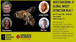 Insectageddon is global insect extinction real [upl. by Rodoeht]