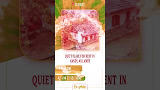 quotVisit BuyMelk today and redefine the way you shop [upl. by Donoghue684]