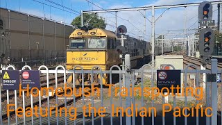 Trainspotting at Homebush  1042024 [upl. by Annailuj]