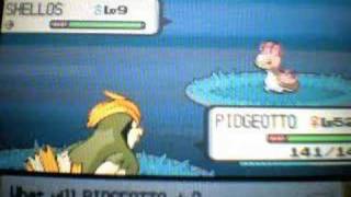 Shiny Shellos With Poke Radar AND SHINY PATCH ON VID [upl. by Atul]