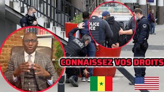 USA🇺🇸immigration QUE FAIRE SI LA POLICE AUX ÉTATSUNIS VOUS ARRÊTE en wolof avec maître cire Camara [upl. by Anirtruc]