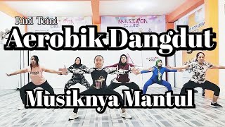 SENAM AEROBIK DANGDUT 2023 [upl. by Leirvag]