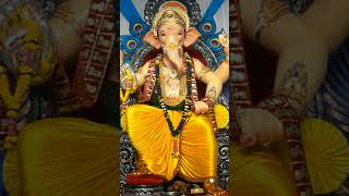 Ganesh Darshan 2024 saurabhnaik ganeshdarshan ganpatibappamorya ytshorts [upl. by Neukam164]