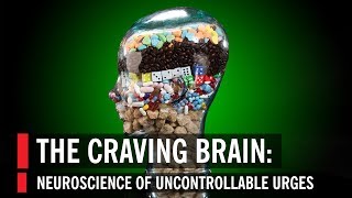 The Craving Brain Neuroscience of Uncontrollable Urges [upl. by Yhtommit710]