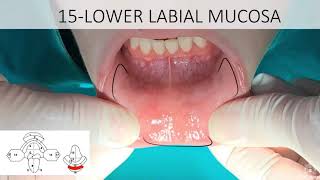 Drop 91 ORAL EXAM IN DENTISTRY [upl. by Cath]