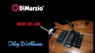 Dimarzio Fred DP 153 Joe Satriani bridge [upl. by Tailor]