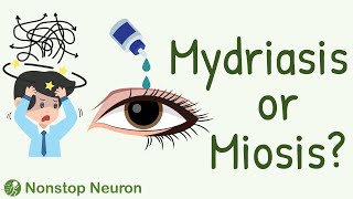 PURE MATH Behind the Effects of ANS Drugs on Pupils Miosis or Mydriasis [upl. by Anasus715]